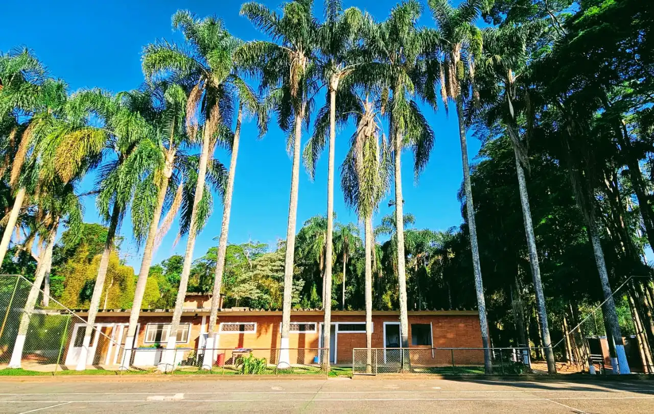 Quadra esportiva e palmeiras na área externa.