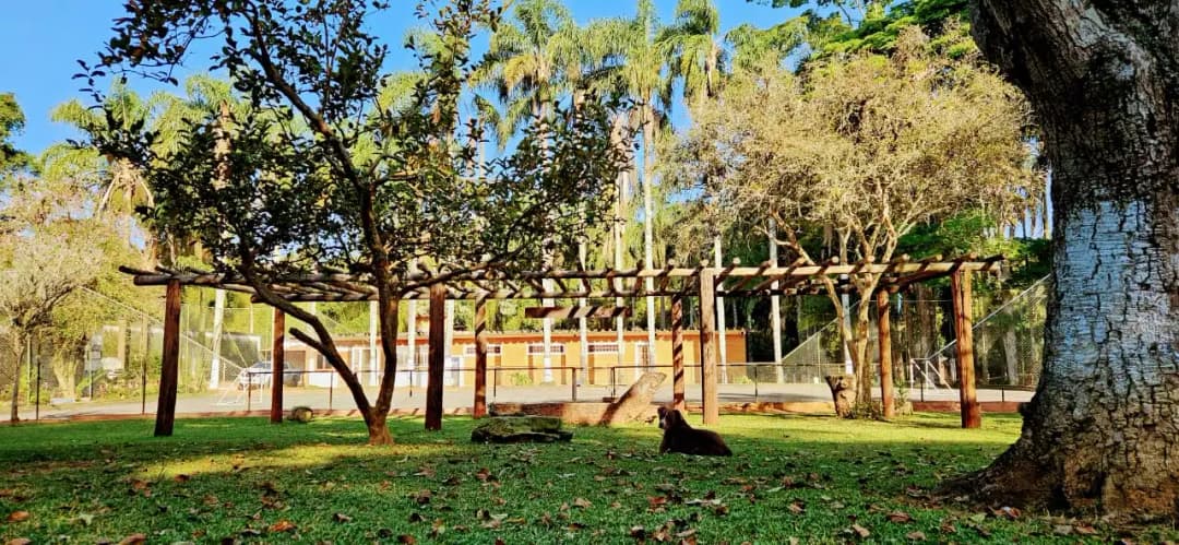Espaço de jardim acolhedor na Habepi, transmitindo segurança e tranquilidade.